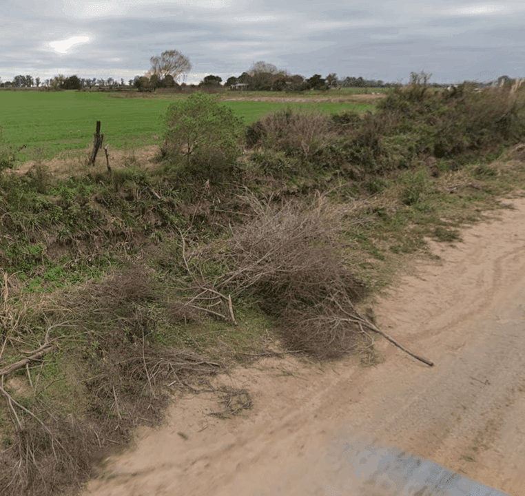 Screenshot 2025-10-16 0907451