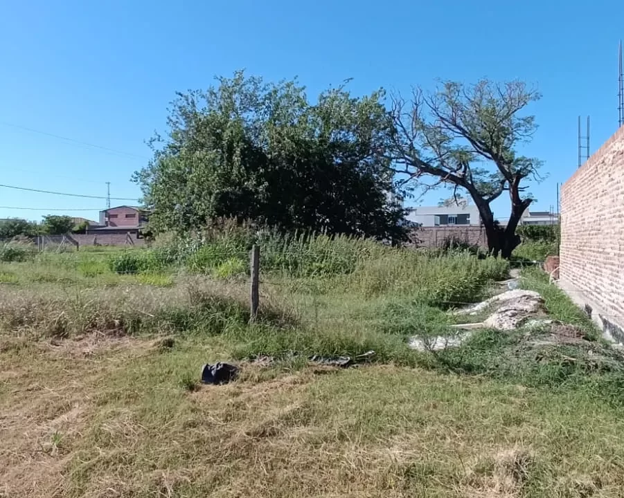 WhatsApp Image 2026-01-06 at 09.50.40 (1)_3_11zon_2_11zon