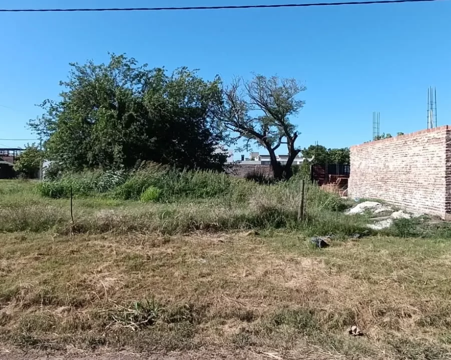 WhatsApp Image 2026-01-06 at 09.50.41_6_11zon_5_11zon