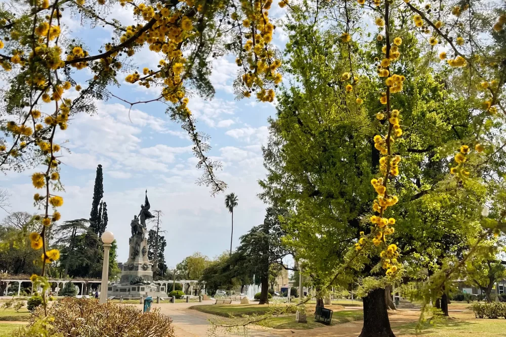 6EFCBFF7-AA30-494D-AAC8-3C748477A4E8_17_11zon