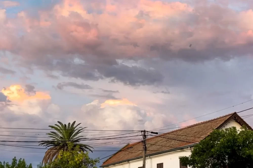 FA237E8F-1C57-4C4A-B161-FC21305E8C9E_27_11zon